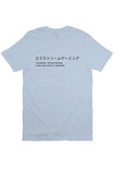 Translate T Shirt